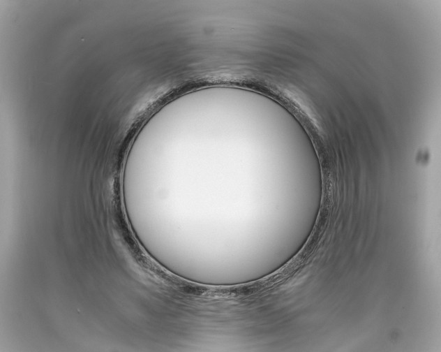 X0000090700491200707200932