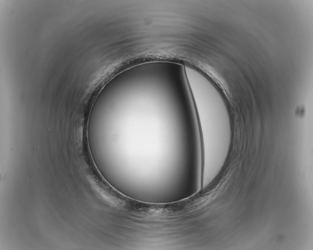 X0000090700493200707200932