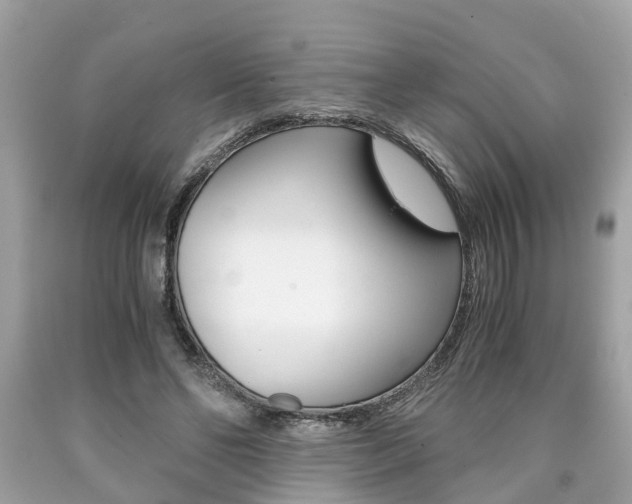 X0000090700494200707200932