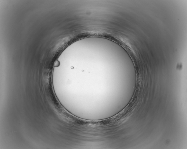 X0000090700495200707200932