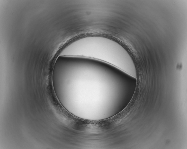 X0000090700496200707200932