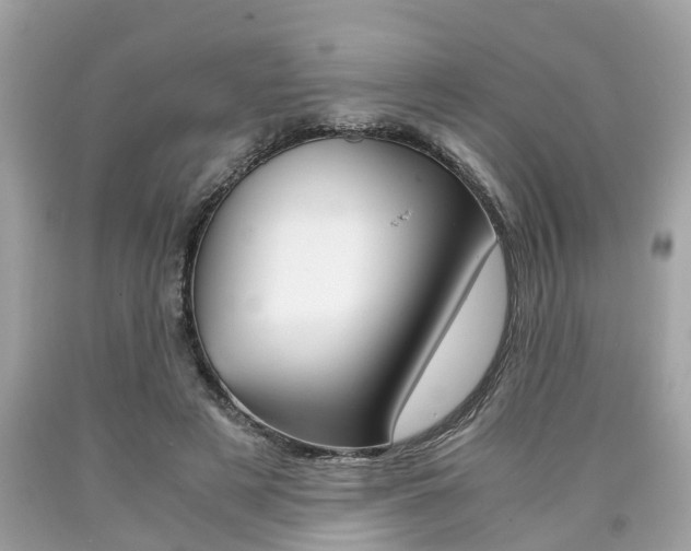 X0000090700497200707200932