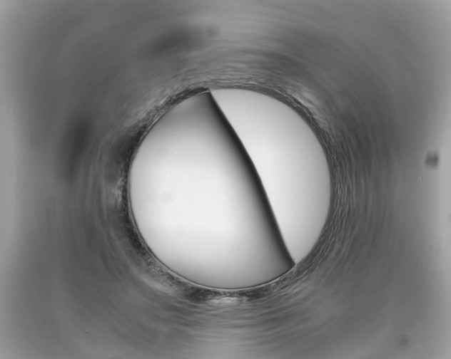X0000090700499200707200932