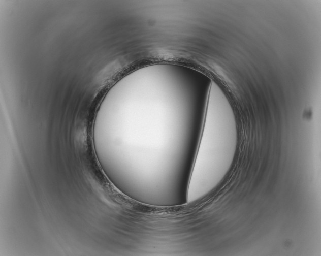 X0000090700500200707200932