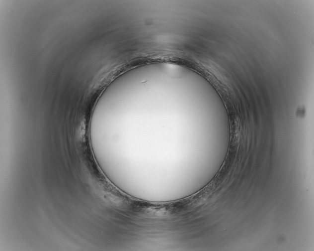 X0000090700502200707200932