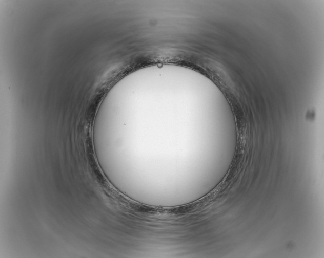 X0000090700503200707200932