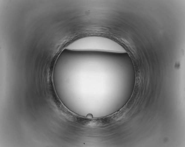 X0000090700504200707200932