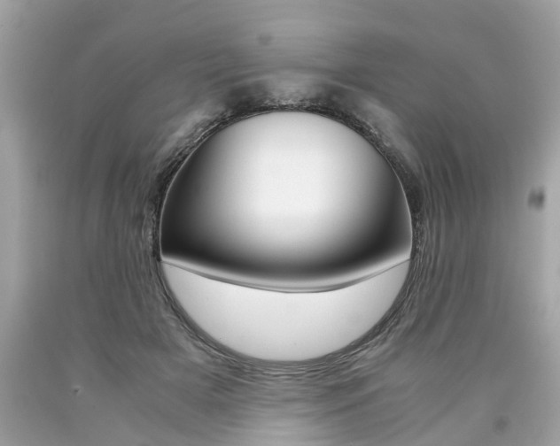 X0000090700505200707200932