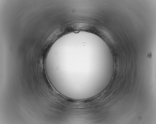 X0000090700506200707200932
