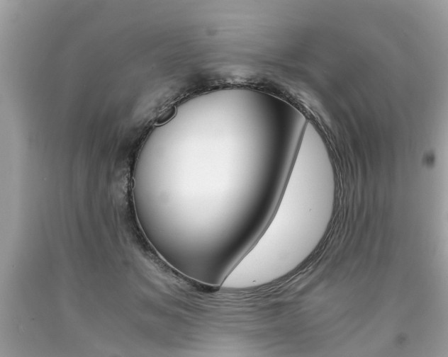 X0000090700509200707200932