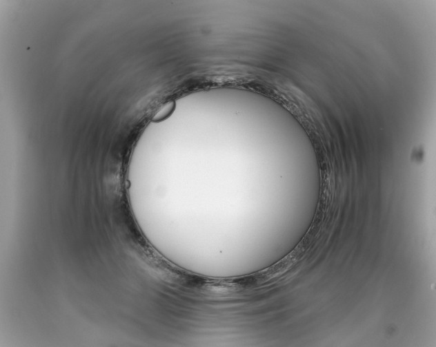 X0000090700510200707200932