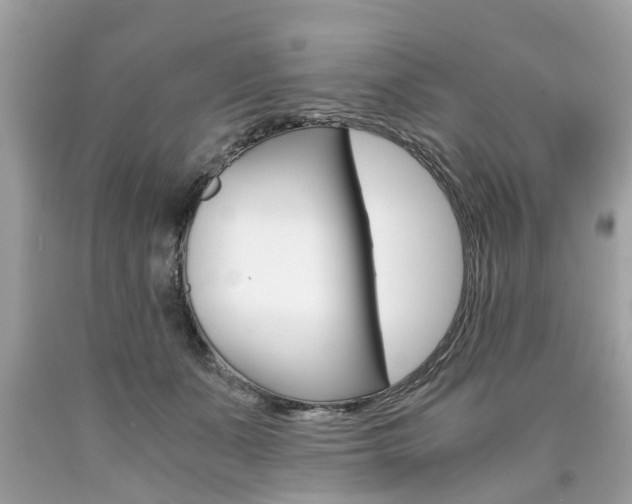 X0000090700511200707200932