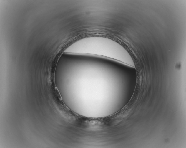 X0000090700512200707200932
