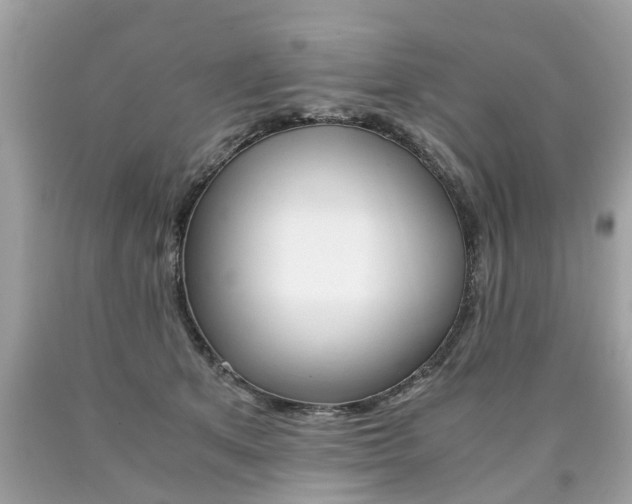X0000090700513200707200932