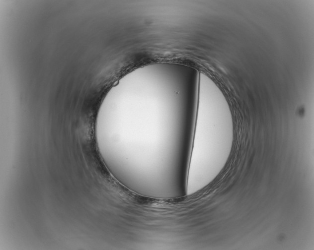 X0000090700515200707200932
