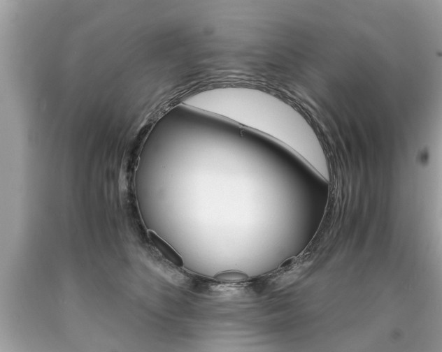 X0000090700516200707200932