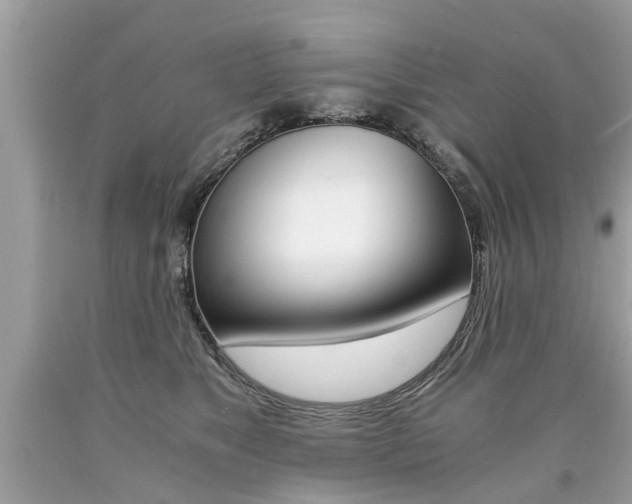 X0000090700517200707200932