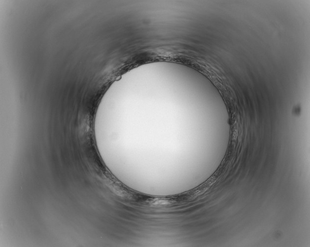 X0000090700518200707200932