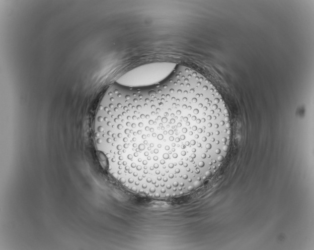 X0000090700519200707200932