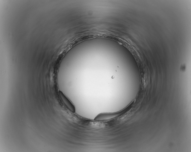X0000090700520200707200932