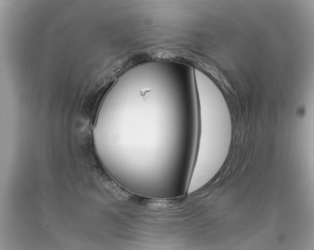 X0000090700521200707200932