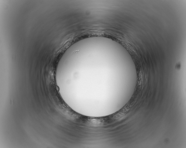X0000090700522200707200932
