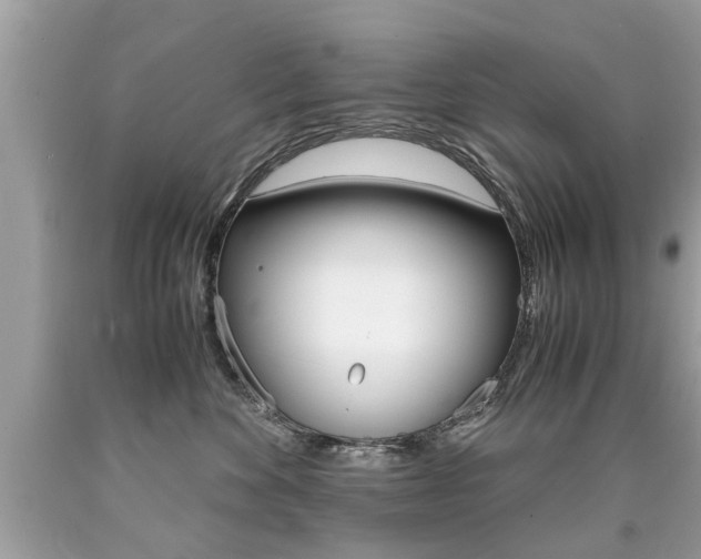 X0000090700524200707200932