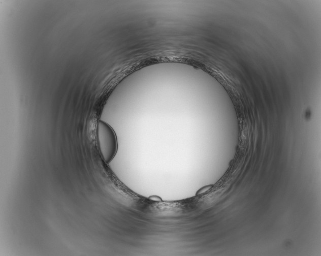 X0000090700526200707200931