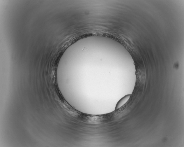 X0000090700527200707200931