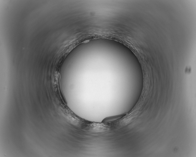 X0000090700528200707200931