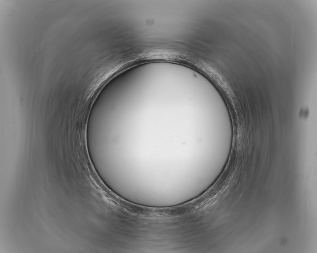 X0000090700529200707200931