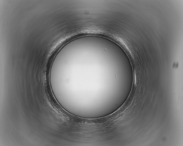 X0000090700531200707200931