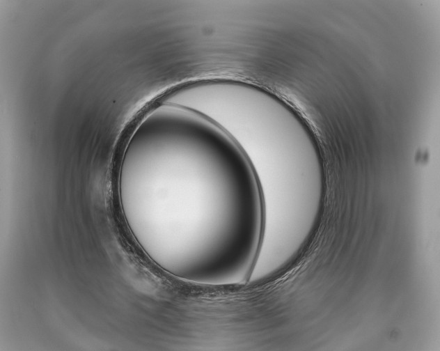 X0000090700532200707200931