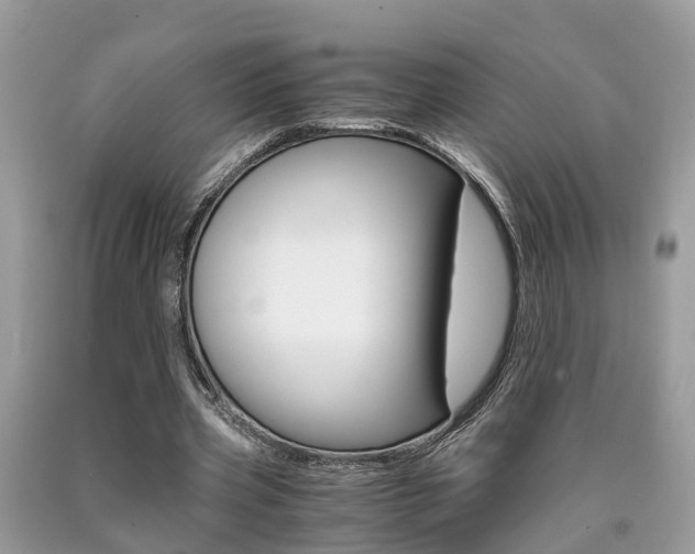 X0000090700533200707200931