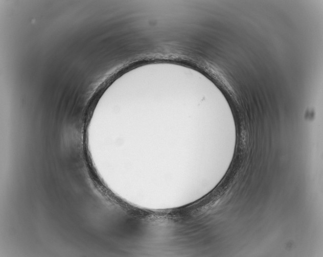 X0000090700534200707200931