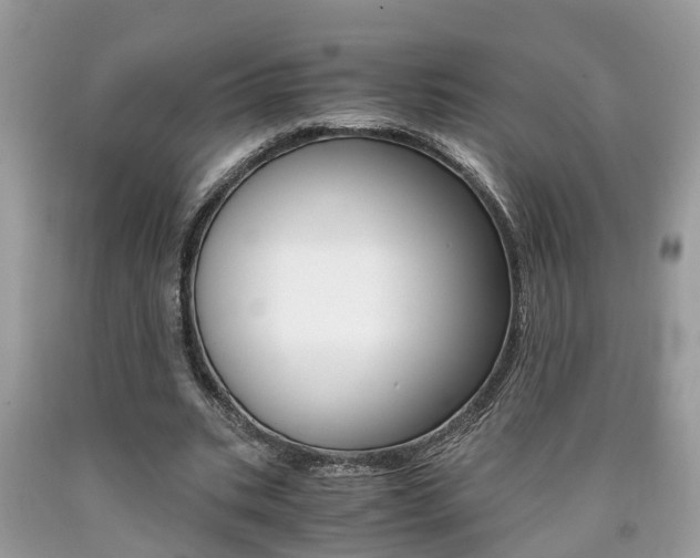 X0000090700535200707200931
