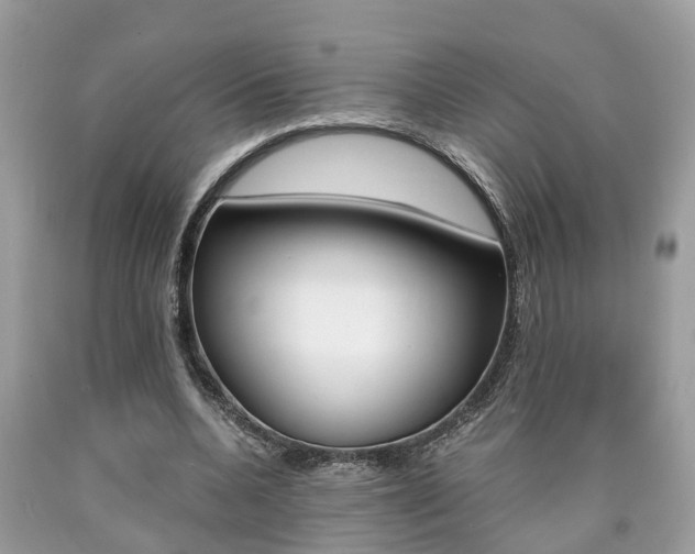 X0000090700536200707200931