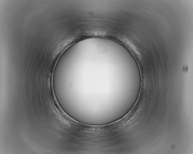 X0000090700537200707200931