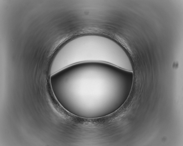 X0000090700538200707200931