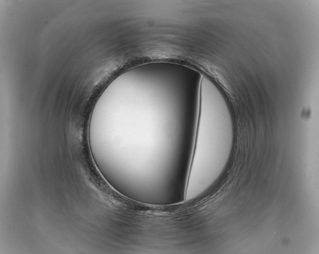 X0000090700539200707200931