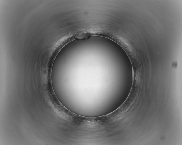 X0000090700540200707200931