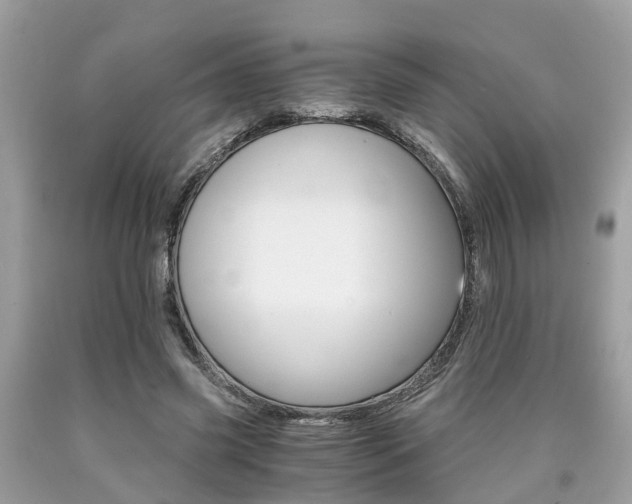 X0000090700541200707200931