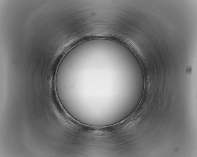 X0000090700542200707200931