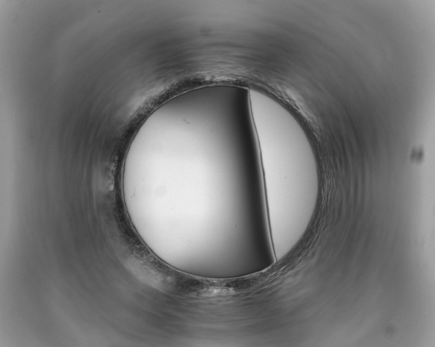 X0000090700543200707200931