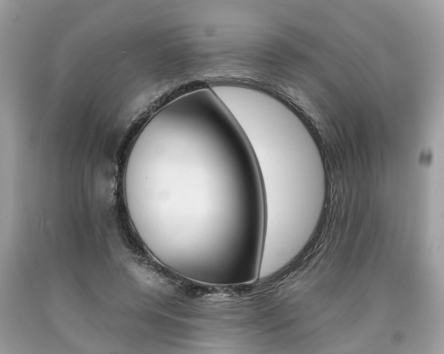 X0000090700544200707200931