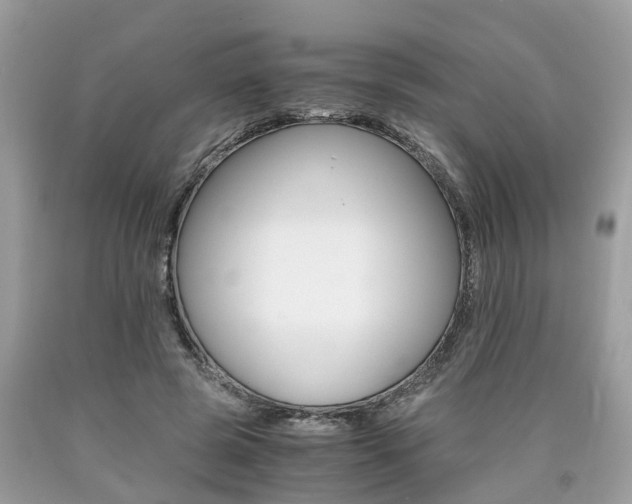 X0000090700545200707200931