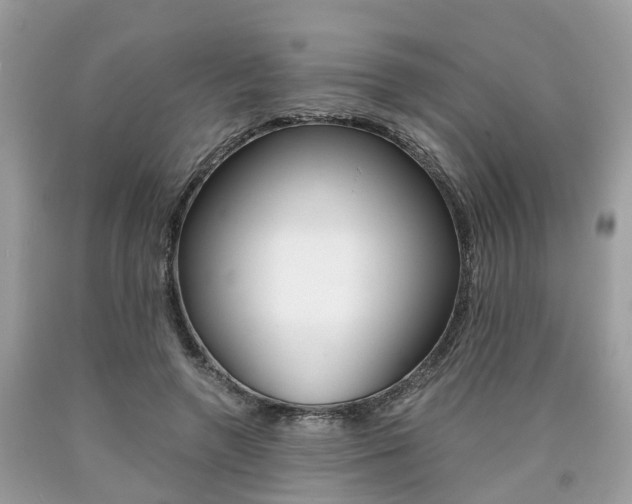 X0000090700546200707200931