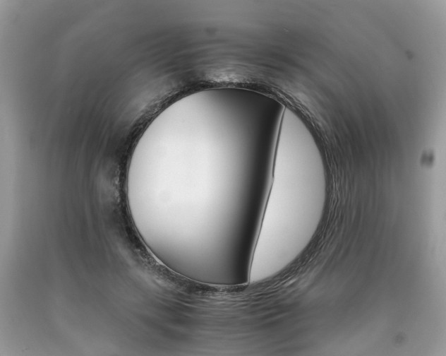 X0000090700547200707200931