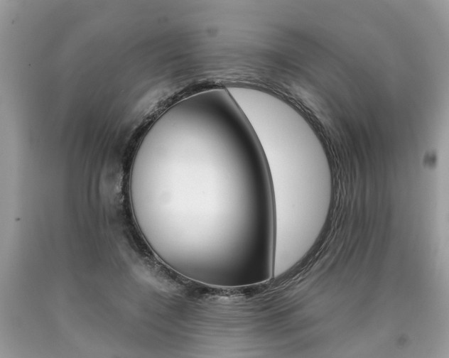 X0000090700548200707200931