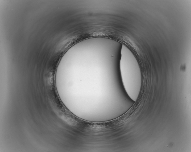 X0000090700549200707200931